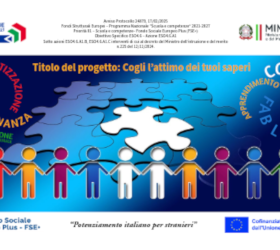 Sezione Cogli l'attimo dei Saperi